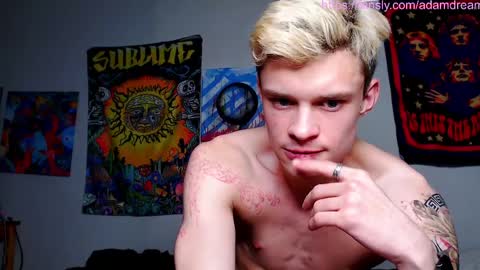 Snapshot of dreamyadam chatting on March 2026 03:01:01 PM Adam Dream online show from March 2026 03:01:01 PM