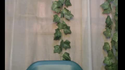 linda online show from September 2025 12:21:01 PM