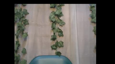 linda online show from October 2025 08:50:02 PM