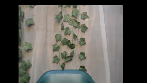 linda online show from October 2025 11:57:02 PM