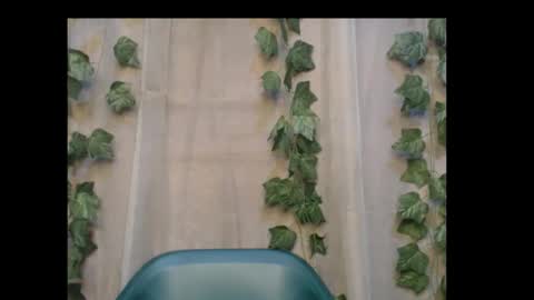 linda online show from October 2025 01:39:01 AM