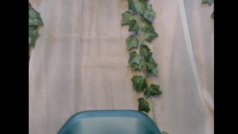 linda online show from November 2025 01:50:01 AM