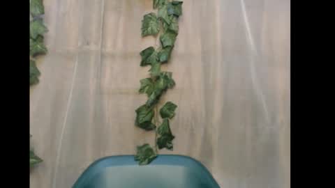 linda online show from December 2025 10:52:02 AM