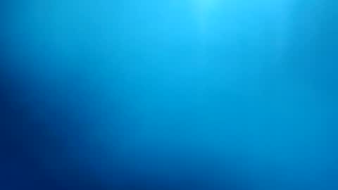 drp619z online show from July 2026 08:51:02 AM