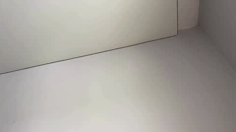 Bella online show from February 2025 03:55:02 AM