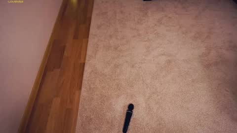 Snapshot of drutywerri chatting on March 2025 09:29:01 AM Polly day and Amelia night online show from March 2025 09:29:01 AM