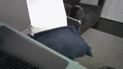 Snapshot of ds689655 chatting on September 2025 08:24:02 PM ds689655 online show from September 2025 08:24:02 PM