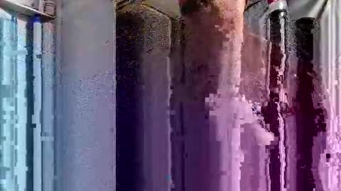 dsmock online show from October 2025 06:08:02 AM