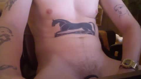 dsnke online show from January 2025 02:43:01 AM