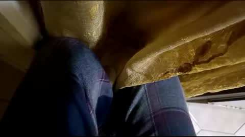 dthedog12 online show from March 2025 02:09:02 AM