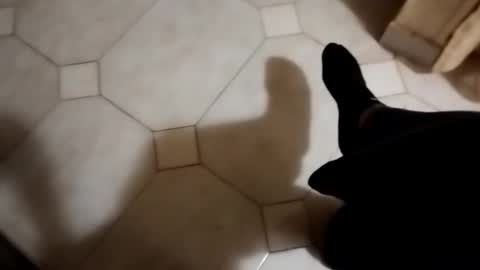 dthedog12 online show from October 2025 01:50:01 AM