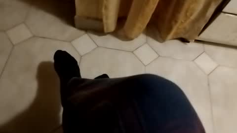 dthedog12 online show from October 2025 12:15:02 AM