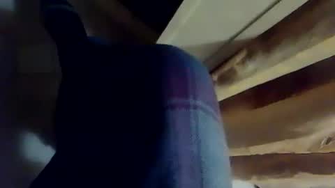 dthedog12 online show from December 2025 10:41:02 PM