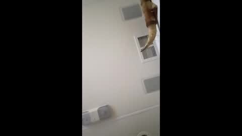 dtrain6969420 online show from February 2026 06:40:02 AM