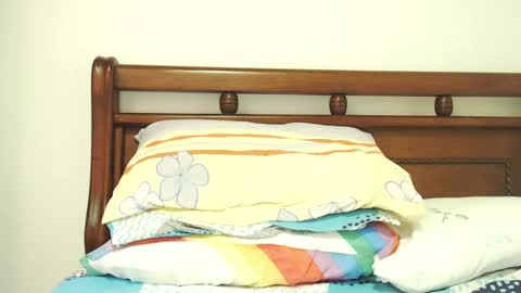 Snapshot of dualdoflow chatting on March 2025 02:01:02 PM S.K..maorisa98 VIDEOS SEXHARD PPBOY 55TASTEPROTEIN online show from March 2025 02:01:02 PM