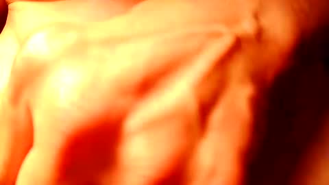 Snapshot of duh541228490531 chatting on February 2025 06:43:02 AM nomadjon online show from February 2025 06:43:02 AM