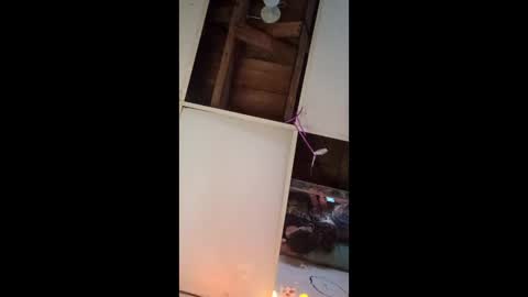 dukenbettykinks online show from April 2026 02:25:02 AM