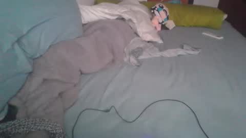 Snapshot of dv3nd3 chatting on January 2026 12:18:01 PM dv3nd3 online show from January 2026 12:18:01 PM