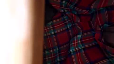 dVe1oPe online show from November 2025 11:10:02 AM