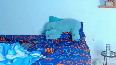 Dylan online show from February 2026 06:26:01 AM