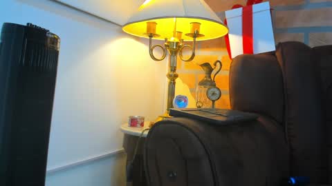 Snapshot of dylanstonne1 chatting on February 2025 03:53:02 AM D Y L A N online show from February 2025 03:53:02 AM