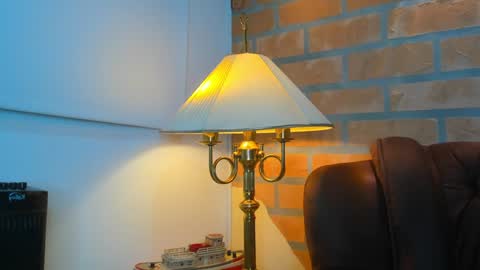 Snapshot of dylanstonne1 chatting on February 2025 01:32:01 AM D Y L A N online show from February 2025 01:32:01 AM