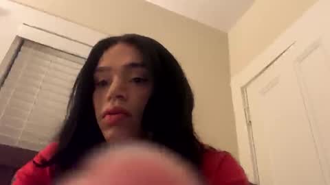 Snapshot of dynasty313 chatting on December 2024 02:19:02 AM Dynasty online show from December 2024 02:19:02 AM