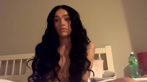 Snapshot of dynasty313 chatting on January 2025 11:38:01 PM Dynasty online show from January 2025 11:38:01 PM