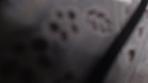 Snapshot of earthlypleasures chatting on July 2026 11:42:02 PM shaina online show from July 2026 11:42:02 PM
