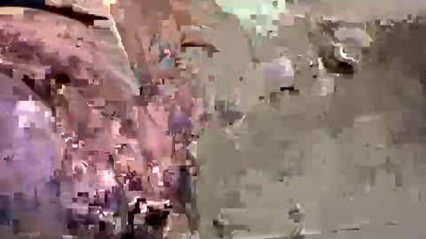 Easye online show from January 2025 07:41:02 PM