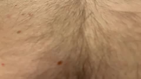 Snapshot of easyfrenchguy chatting on April 2026 10:40:02 PM French Guy online show from April 2026 10:40:02 PM