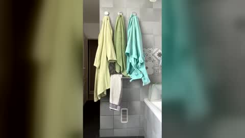 Snapshot of easyfrenchguy chatting on April 2026 10:44:01 AM French Guy online show from April 2026 10:44:01 AM