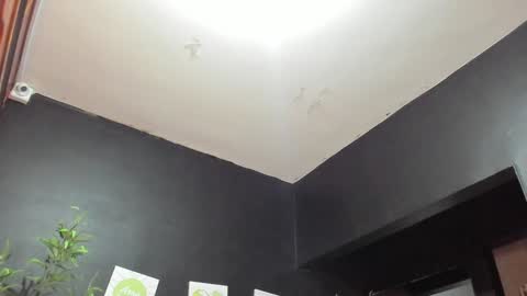 ebony_katterin online show from January 2025 11:11:01 AM