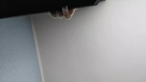 Snapshot of edithmanning chatting on March 2026 05:47:02 AM edithmanning online show from March 2026 05:47:02 AM