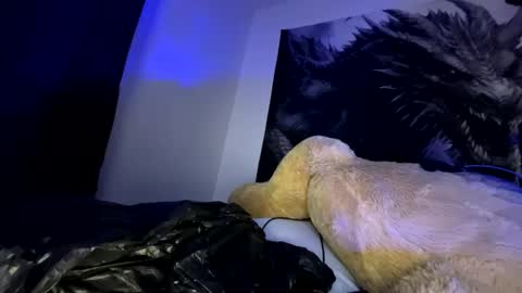 edvmendez1766 online show from September 2025 10:07:01 AM