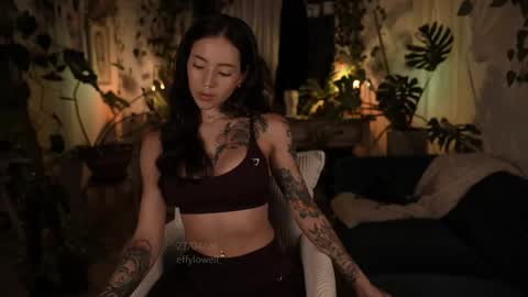 Snapshot of effylowell_ chatting on April 2026 12:53:01 AM Effy online show from April 2026 12:53:01 AM