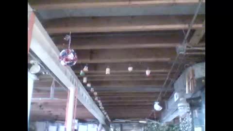 efriff online show from April 2026 07:58:01 PM