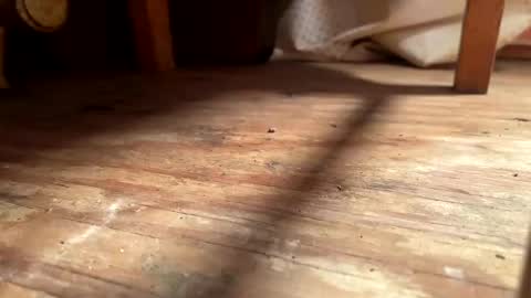 Snapshot of ehproject chatting on November 2025 08:27:02 AM ehproject online show from November 2025 08:27:02 AM