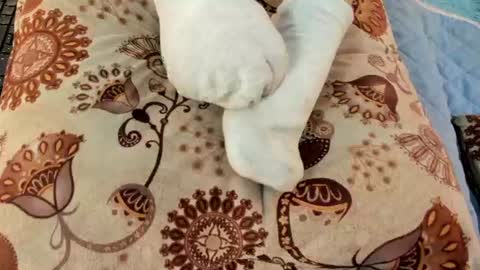 Snapshot of eilin_clio chatting on July 2026 01:07:02 PM Eilin online show from July 2026 01:07:02 PM