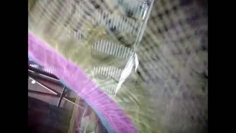 eirma7991 online show from February 2026 10:30:02 PM