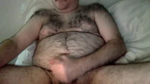 elabear online show from March 2026 04:39:02 AM