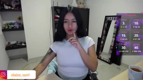 Snapshot of elaine_sun chatting on January 2026 01:43:01 AM Elaine eli online show from January 2026 01:43:01 AM