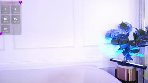 Elasummeer online show from January 2025 06:29:02 PM