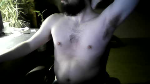 Snapshot of elephantfox chatting on April 2026 04:44:02 AM fox online show from April 2026 04:44:02 AM