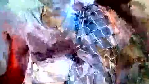 elina_roy03 online show from November 2025 07:31:02 AM