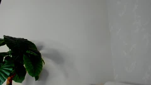 Snapshot of eliza_sanz chatting on February 2025 11:03:01 PM My name is ElizaPVT is open online show from February 2025 11:03:01 PM