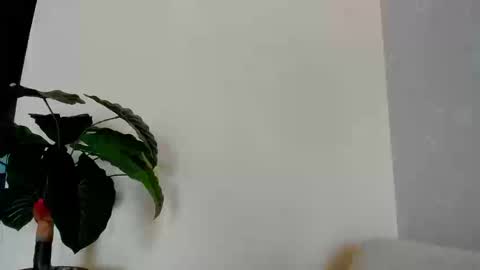 Snapshot of eliza_sanz chatting on September 2025 09:25:02 PM My name is ElizaPVT is open online show from September 2025 09:25:02 PM