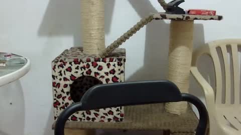 Elizabeth Martinez  online show from September 2025 02:51:01 PM