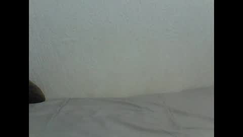 eljoven199 online show from April 2026 11:31:02 AM