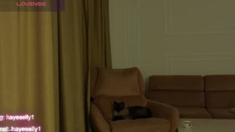 Snapshot of ella_hayes chatting on April 2026 11:27:02 PM Ella NEXT STREAM 1TH DECEMBER 1200 - 0800 AM AT MOSCOW TIME online show from April 2026 11:27:02 PM